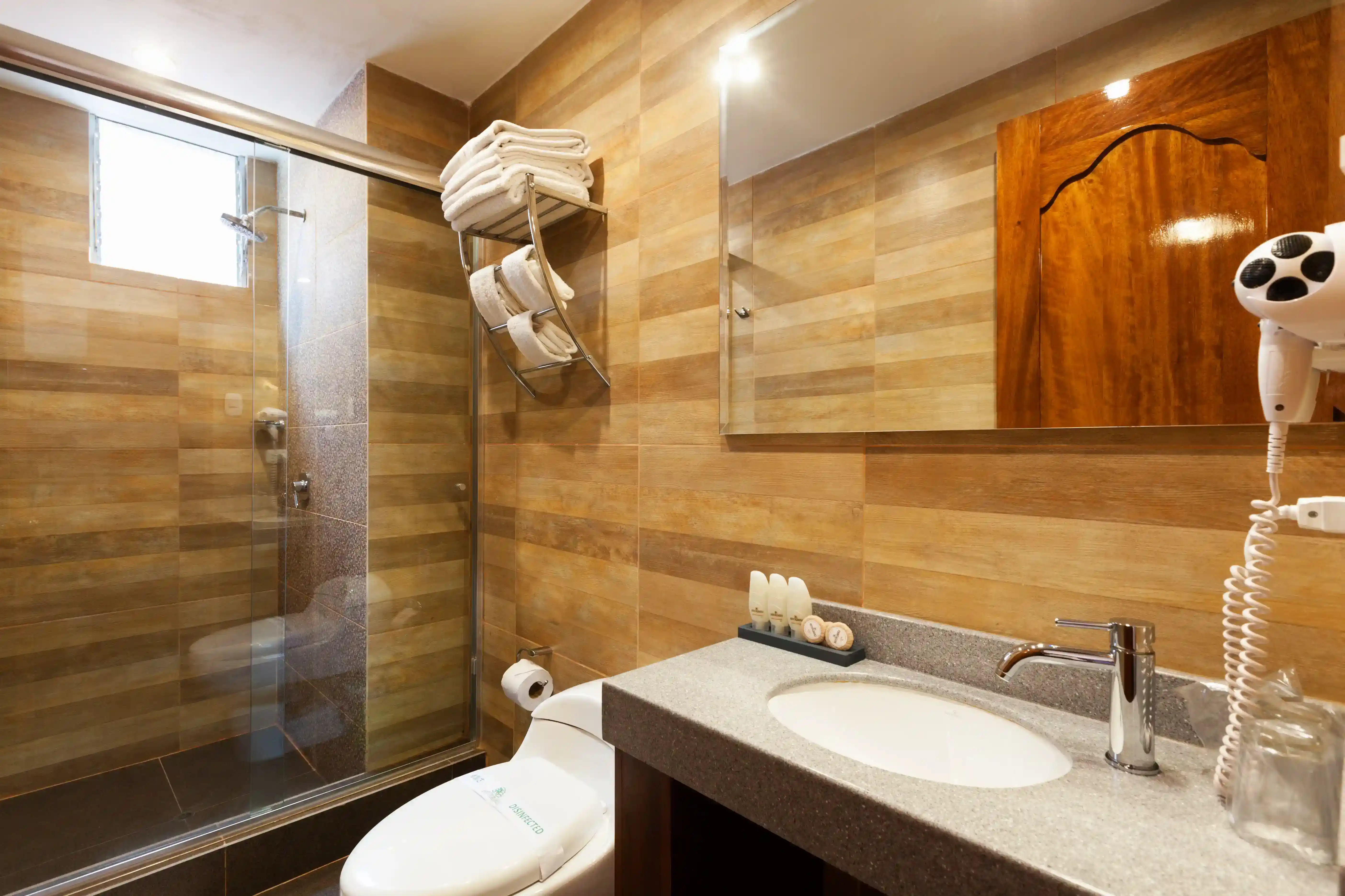 habitacion suit