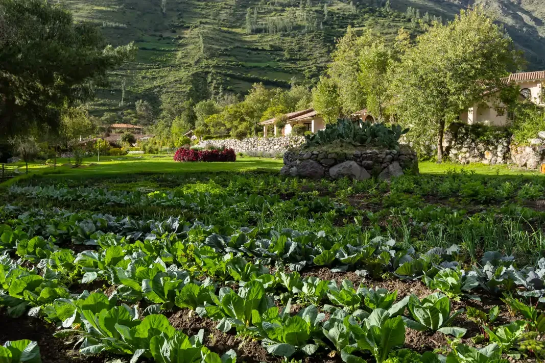 hotel valle sagrado | Inti Punku Hotel